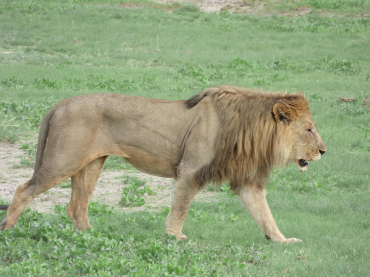 Villa Africa Guesthouse Tsumeb Luaran gambar